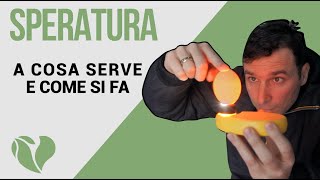 Cosè la speratura delle uova A cosa serve la speratura e come va effettuata [upl. by Soelch]