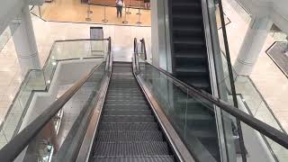 Montgomery KONE Escalators  Macy’s  Park Meadows Mall  Lone Tree CO [upl. by Goltz]