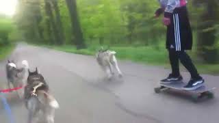 Training mit dem Skatebord Leroy und Kim [upl. by Bouchard222]