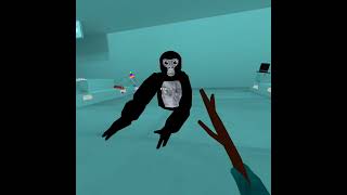 Omny Taggers best Modded Gorilla tag fangame [upl. by Oemor959]