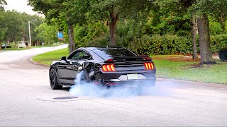 Mustangs at Daytona 2023  Fast Performance Night Meet Pullouts amp Burnouts [upl. by Narf]