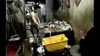 Kowloon Walled City documentary Part 14 [upl. by Erma]