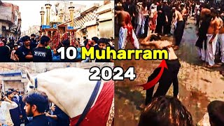 10 Muharram 2024 Zangeer zani Zuljinah zayarat 910 Muharram Sialkot 🚩🚩 [upl. by Ahsied]