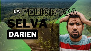 El Infierno en la Selva del Darién La Ruta de Migración Más Peligrosa de América Latina [upl. by Lani497]