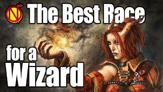 DampD Wizard Best Race in 5th Edition Dungeons and Dragons [upl. by Kcirdde62]