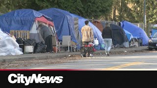 Coquitlam encampment dealing with challenging conditions [upl. by Eisyak]