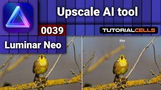 0039 Upscale AI tool in Luminar Neo [upl. by Adnarb]