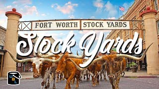 Fort Worth Stockyards  Cowboy Experience [upl. by Maker]