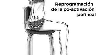 HIPOPRESIVOS Efectos de los Hipopresivos II Reprogramación Abdominal [upl. by Etyam]