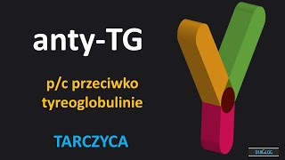 Przeciwciała przeciwko tyreoglobulinie – antyTG – TgAb [upl. by Clementius562]