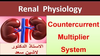 Medullary gradient osmolarity countercurrent multiplier systemLashin لاشين [upl. by Chobot]