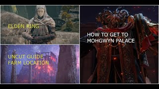 UNCUT GUIDE Offline  Pureblood Knights Medal  Portal Teleport Mohgwyn Palace  FARM LOCATION [upl. by Alikat156]