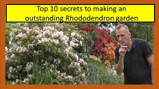 Top 10 secrets to making an outstanding Rhododendron garden [upl. by Folger]