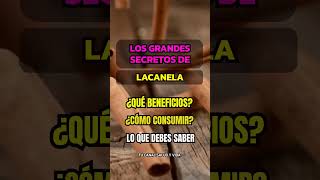 EL PODER DE LA CANELA ¡NO TODO ES TAN DULCE COMO PARECE canela saludables saludables tips [upl. by Bust]