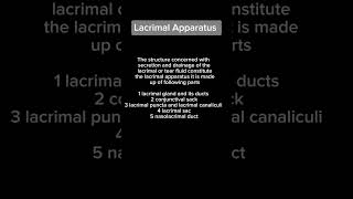 Lacrimal Apparatus  Anatomy  Head n Neck [upl. by Abel263]