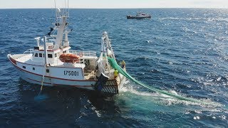 Vivre de la mer  Pêche du homard [upl. by Emmer]