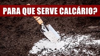 PARA QUE SERVE O CALCÁRIO NAS PLANTAS [upl. by Aerdnod]