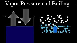 Vapor Pressure and Boiling [upl. by Perlman]