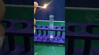 Reaction of Magnesium with Acidexperiment CBSE Class 10scienceviralvideo [upl. by Dennett]