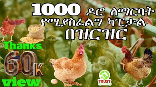 1000 ሺ ዶሮ ለማርባት የሚያስፈልግ ካፒታል በዝርዝር [upl. by Lemej]