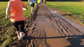 Ashton Court parkrun 11th November 2023 [upl. by Assillam]