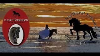 Northeast Friesian Horse Club Classic Horse Show Deerfield NH 2017 [upl. by Asirahc]