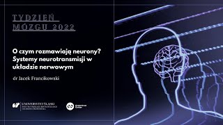 Podróż na kraniec wszechświata  Dokument z Lektorem PL [upl. by Hendel]