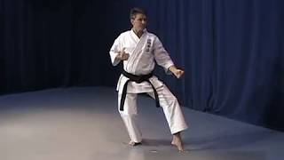 Pinan Nidan form 태권도 跆拳道 heian okinawan kenpo Karate kata [upl. by Bow]