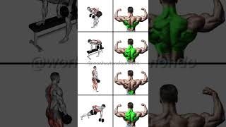 STRONGER Back with DUMBBELLS Best Dumbbell Back Workout [upl. by Claman]