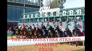 THE 2024 HONEYBEE STKSG3 ANALYSIS  22424 [upl. by Benn813]