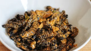 Creamed Mopane Worms  Amacimbi  Madora [upl. by Macario53]