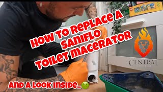 HOW TO REPLACE A SANIFLO Toilet macerator [upl. by Eduj]