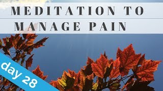 Quick Meditation for Pain Relief [upl. by Ierdna995]