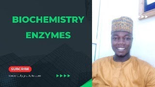 Enzyme specificity  Enzyme Activity  Turnover number  Specific Activity [upl. by Aiyekal]