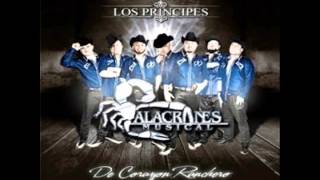 quotPerdidosquot Alacranes Musical Ft Los Horoscopos de Durango [upl. by Doowle553]