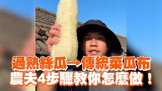 過熟絲瓜→傳統菜瓜布 農夫4步驟教你怎麼做！ [upl. by Cleopatra]