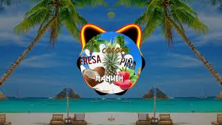 FRESA COCO PIÑA REMIX Reggaeton amp Cumbia [upl. by Faus]