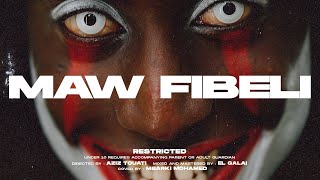 T3D™  Maw Fibeli Official Video [upl. by Fleurette]