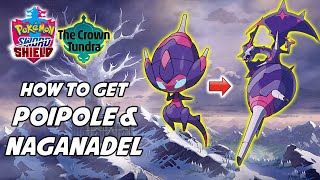 How to Get Poipole and Naganadel in Pokemon Sword and Shield [upl. by Weiler507]