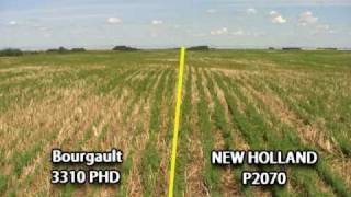 P2070 Precision Hoe Drill Field Comparison [upl. by Alauqahs]