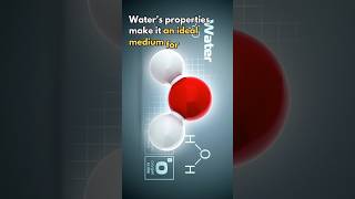 Water Chemistry Reaction propertiesofwater chemistry trending viral [upl. by Curtis]