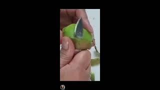 Reverse Peeling and Cutting of KIWI asmr reversevideo satisfying fruit reverse [upl. by Gewirtz298]