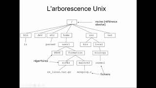 Larborescence des fichiers sous Linux [upl. by Enaile]