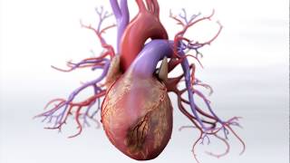 What is Coronary Artery Disease  Mechanism of Disease [upl. by Lledor]