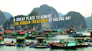 A Hidden Wonder in Halong Bay  Cua Van Floating Village [upl. by Hightower]