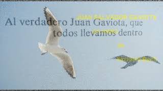 Juan Salvador Gaviota de Richard Bach audio libro  completo [upl. by Eiralc]