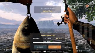 Fishing Planet  Unique Bighead Carp  Sander Baggersee Lake [upl. by Sadira]