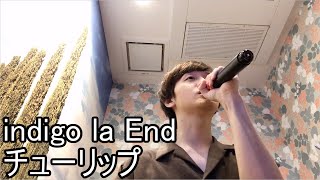 【indigo la End】チューリップ 歌ってみた [upl. by Ahsyat521]