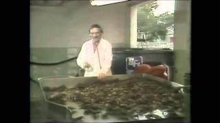 Al Scramuzzas Seafood City original commercials  Cardiac arrest [upl. by Ahsytal]