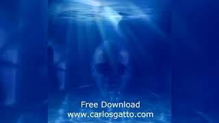 From the Ocean  Carlos Gatto Feat Sumo [upl. by Ecenahs]